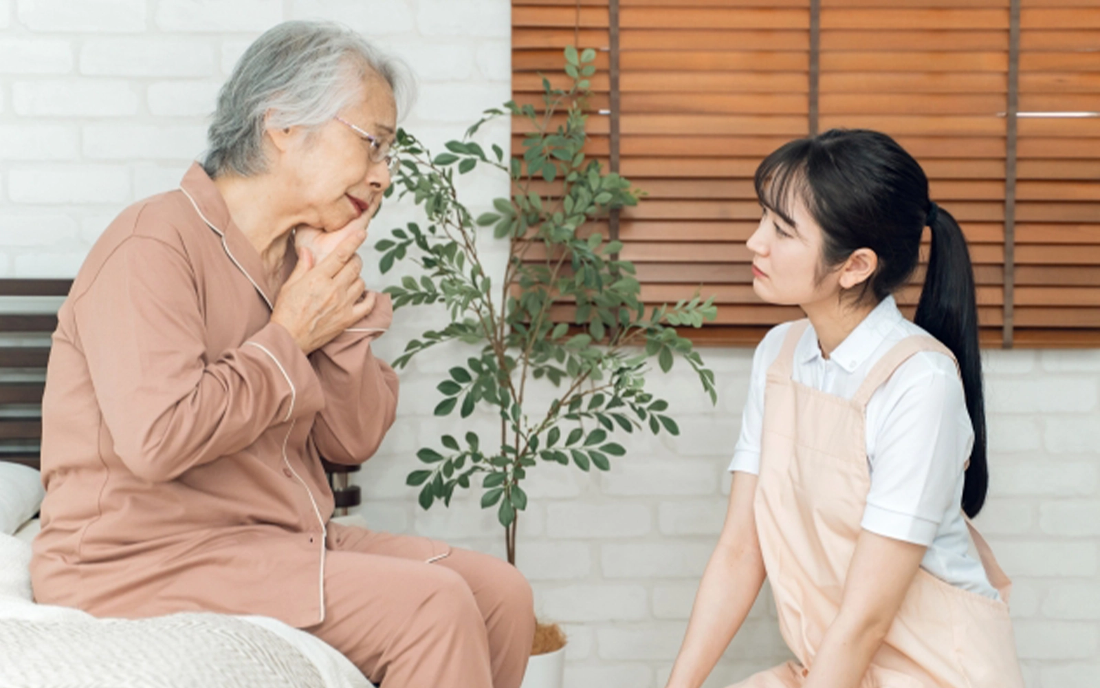 歯を失った場合の選択肢