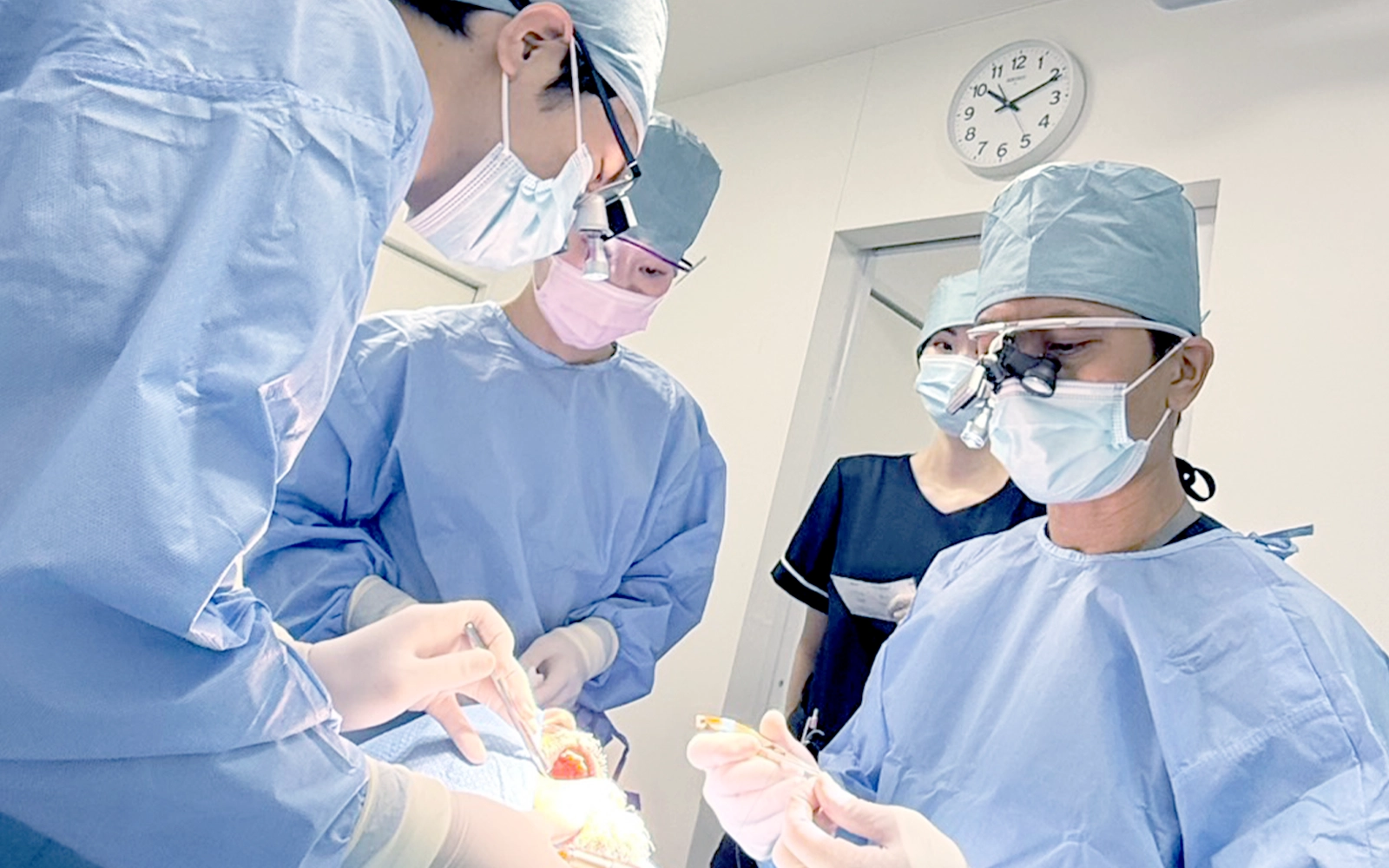 インプラント学会認定医・専門医が手術を担当