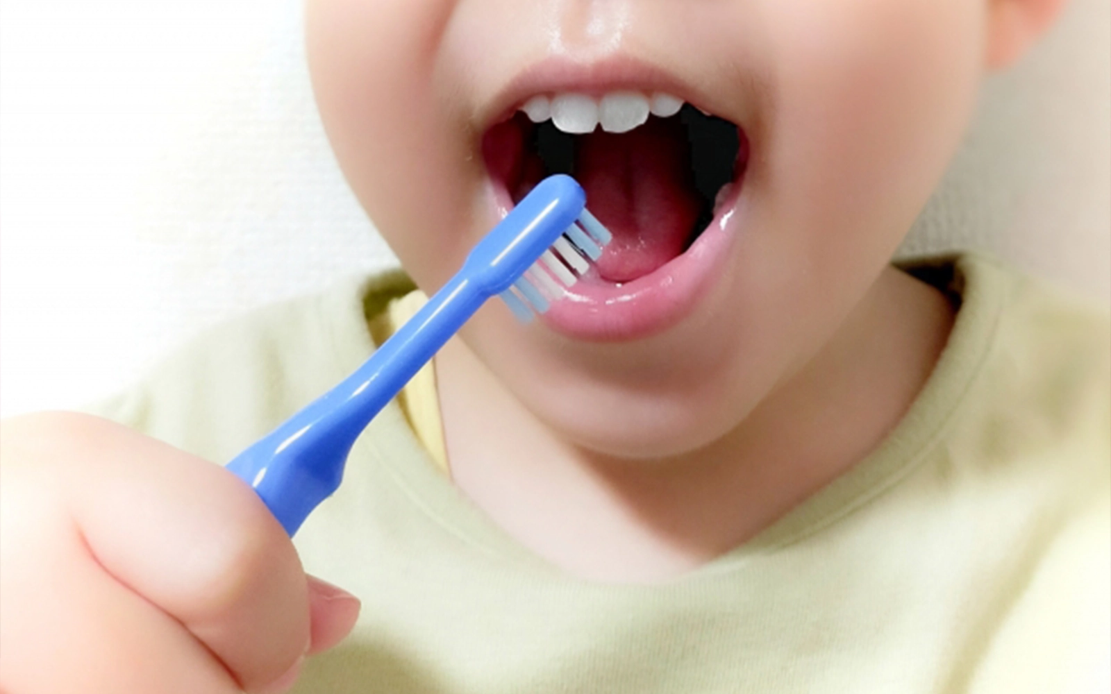 ブラッシング指導